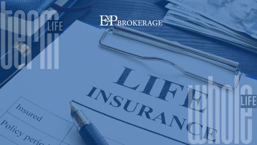 whole vs term life insurance