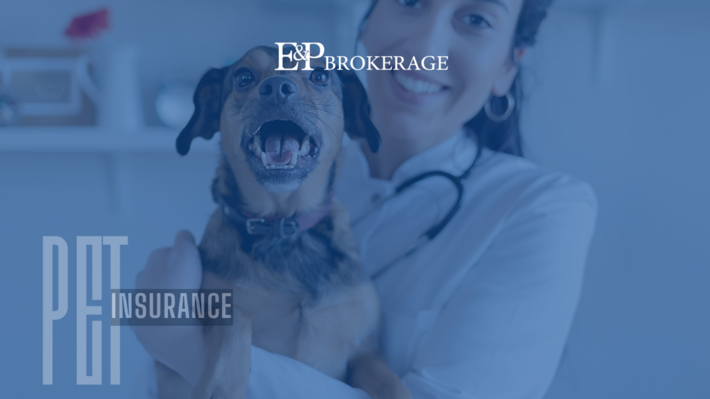 Pet Protection